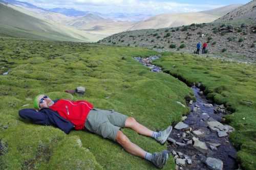 TREKKING IN LADAKH | CHANGTANG 2017